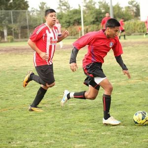 Meet your Posher, Hector